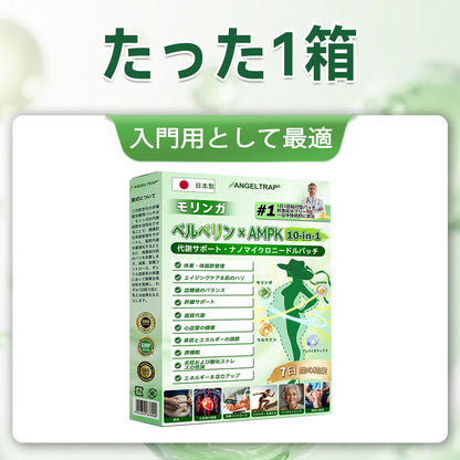 💫公式旗艦店 /ANGELTRAP®＆NAD+ 10-in-1 ナノ強化フォーミュラ — 肥満、肌のたるみ、糖尿病、睡眠時無呼吸症候群、関節の悩み、その他健康上の懸念にアプローチ🛡️
